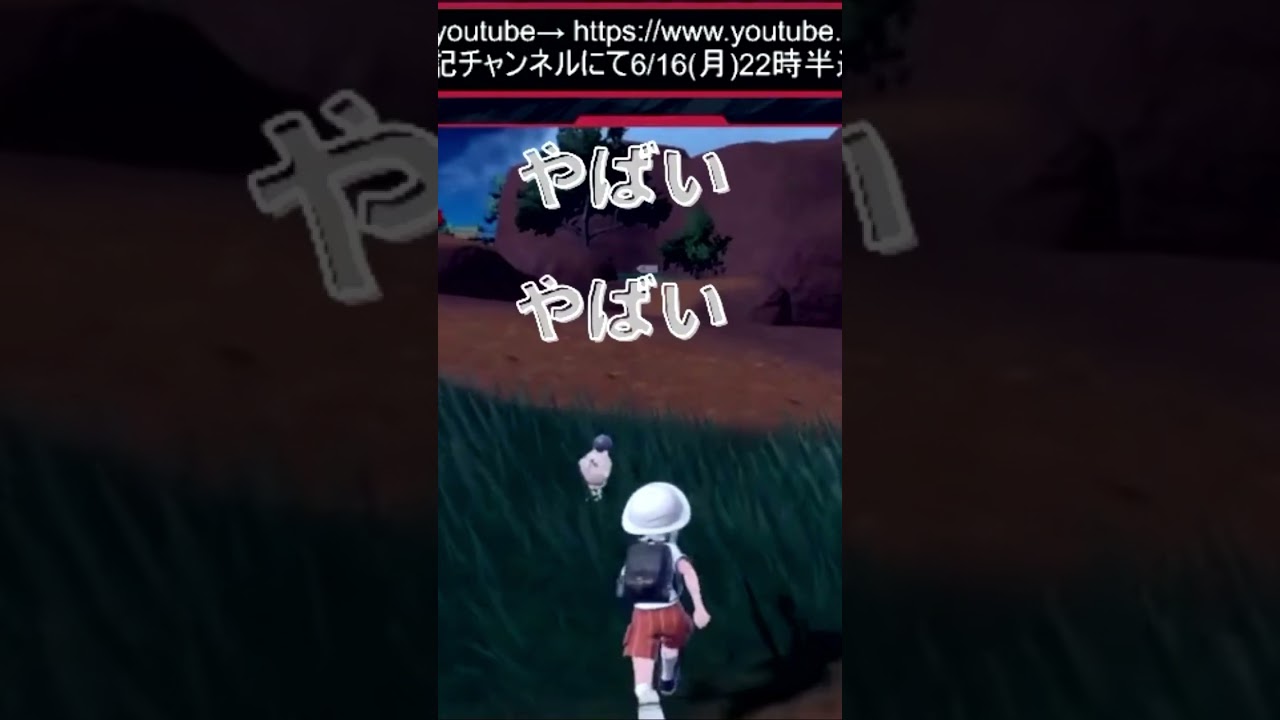 【神回】1/4096縛りで相棒の色違いバネブーと奇跡の出会い#shorts