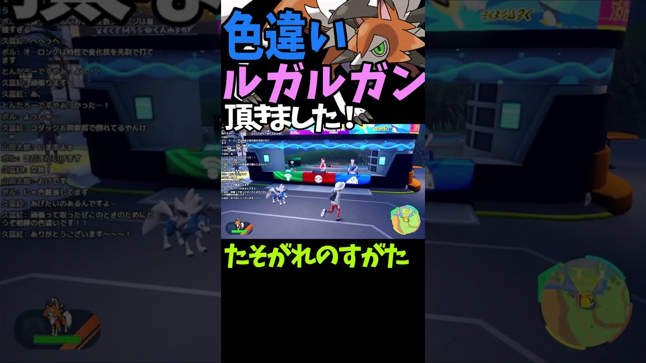 【ルガルガン（たそがれのすがた）色違い頂きました！】調べたら難易度が高いようで本当に感謝ですm(__)m 大事に育てます！ はるひさん、ありがとうございます！ #shorts