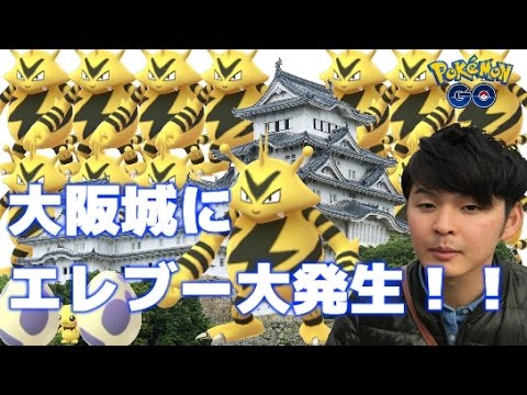 【ポケモンGO】大阪城にエレブー大発生！【大阪】
