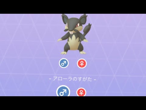Pokémon GO 19 コラッタ アローラ