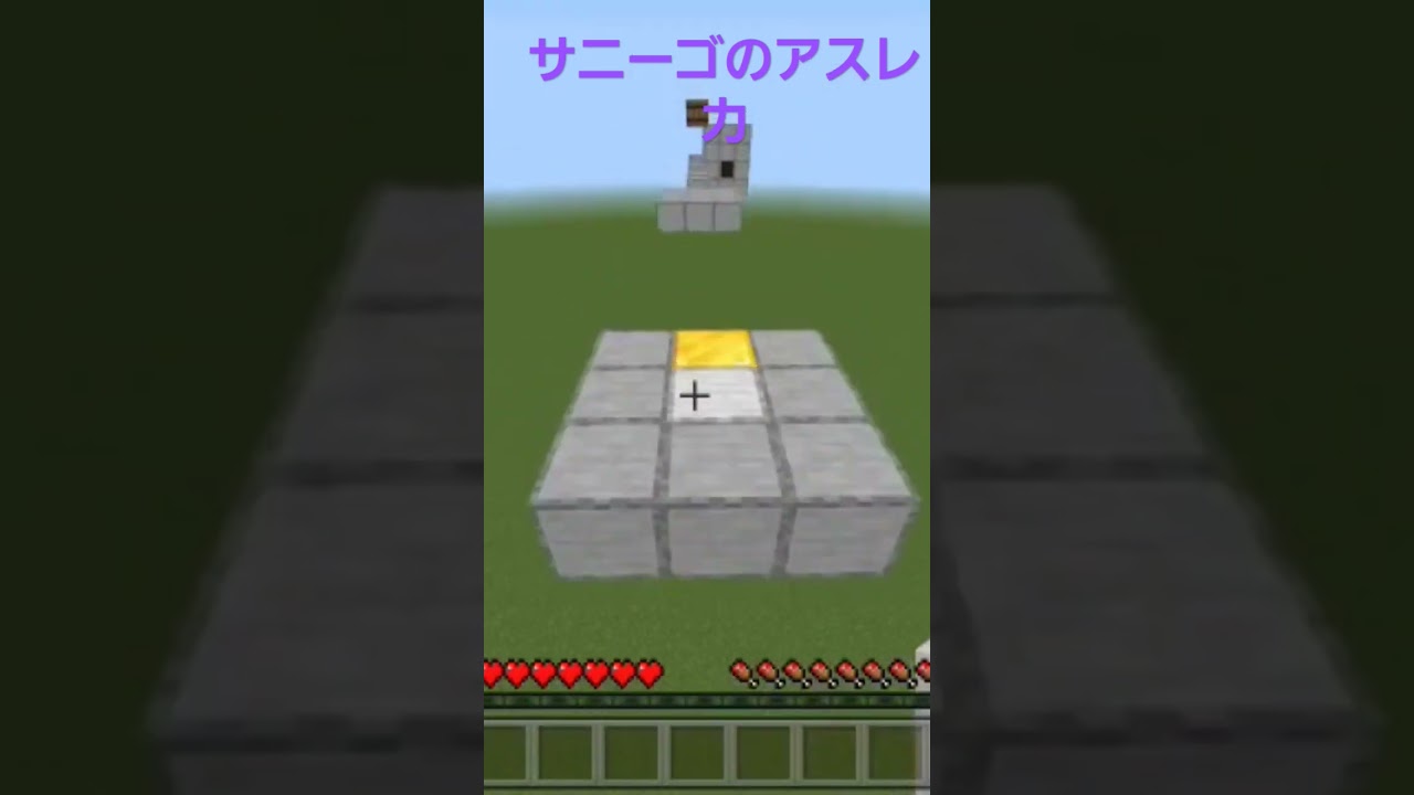 メンバーのサニーゴ初動画出し
