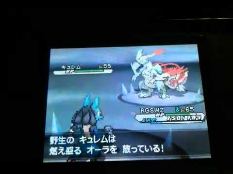 vsホワイトキュレム←