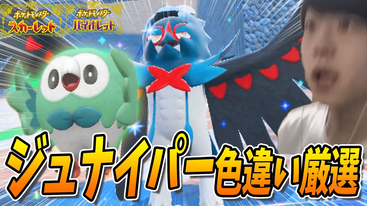 【完】1400匹～ジュナイパーの色違いが欲しい！モクロー色違いタマゴ孵化厳選！ #16 ポケモンSVしろーん/スカーレットバイオレット