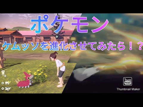 「ポケモンアルセウス」ケムッソを進化させてみた！！