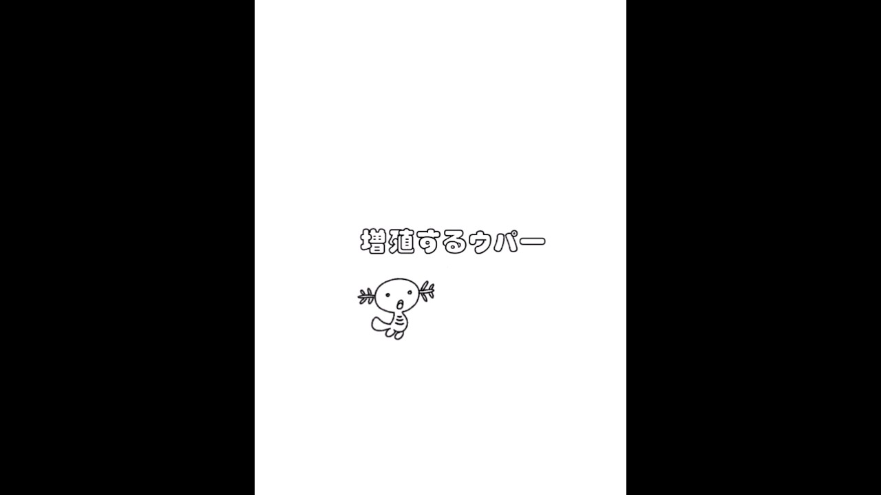 ウパー可愛い #ポケモン #pokemon  #shorts #drawing #ウパー