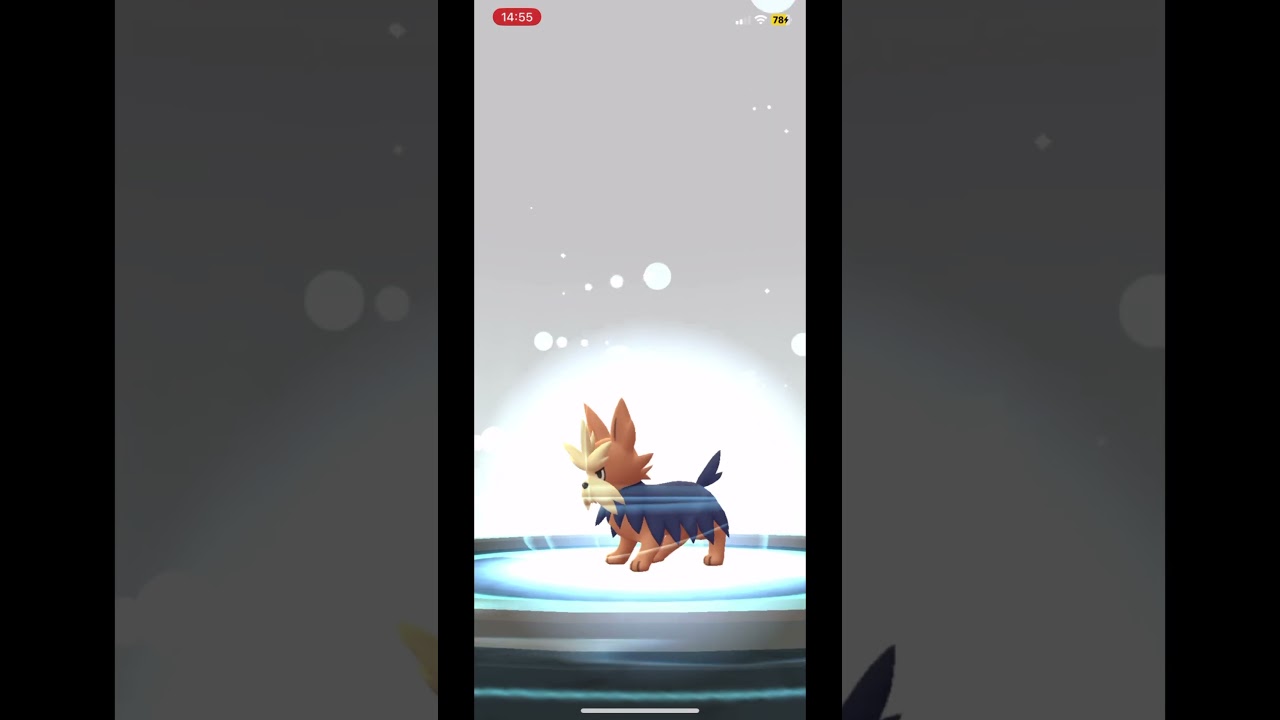Pokemon Evolve A Lucky 🍀Lillipup🍀 XXL In To A Lucky 🍀Stoutland🍀 XXL #pokemon #pokemongo