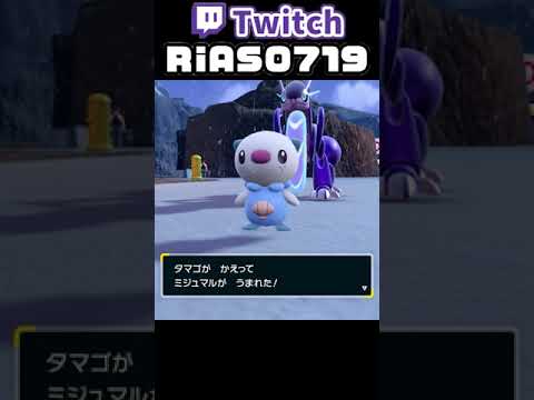 色違いミジュマル達 Shiny Oshawott #shorts #ポケモン #ポケモンsv #色違い #ゲーム