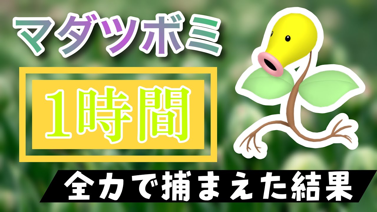 【ポケモンGO】田舎でマダツボミのスポットライトアワーをやった結果
