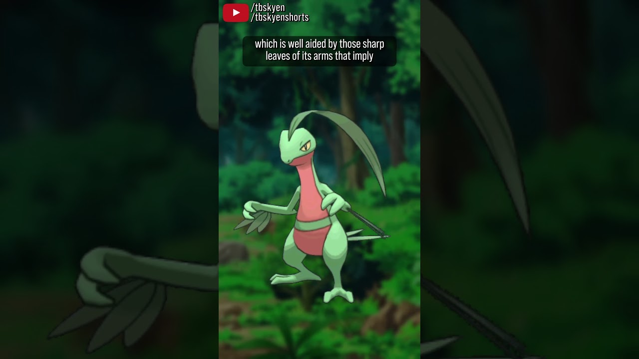 Treecko ends up too much of a Christmas tree to ever really be cool || Pokémon Review