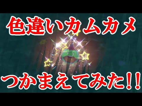【ポケモンSV】色違いカムカメつかまえてみた！！