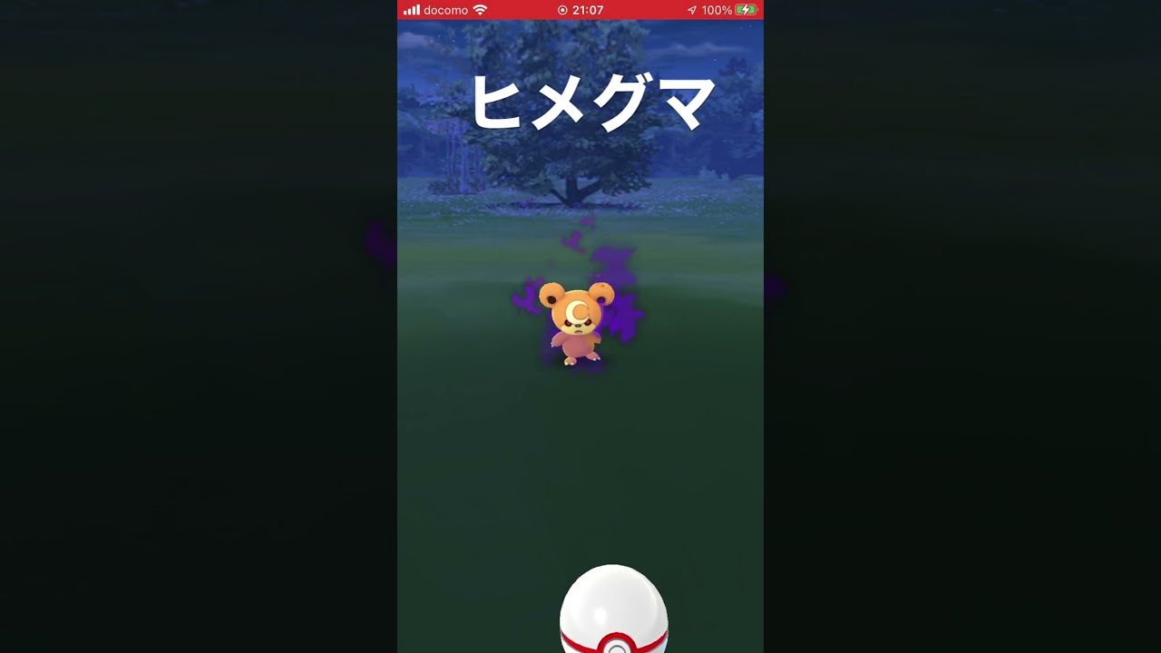 シャドウ ヒメグマ