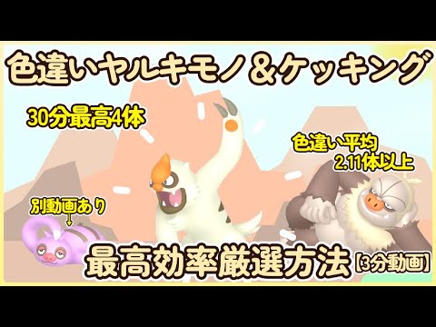 30分最高4体 色違いヤルキモノ＆ケッキング最高効率厳選3.5分動画 平均色違い数2.11体(ナマケロは別動画)#ポケモンsv #最高効率 #色違い #ヤルキモノ #ケッキング #大量発生あり