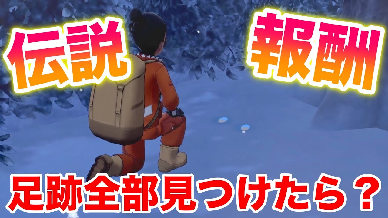 【衝撃】足跡を全部探したら伝説登場でヤバすぎた！意外すぎる報酬で鳥肌がたちました！【冠の雪原/ポケモン剣盾有料DLC】