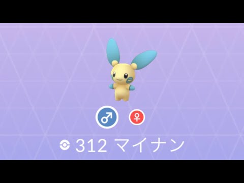 Pokémon GO 312 マイナン