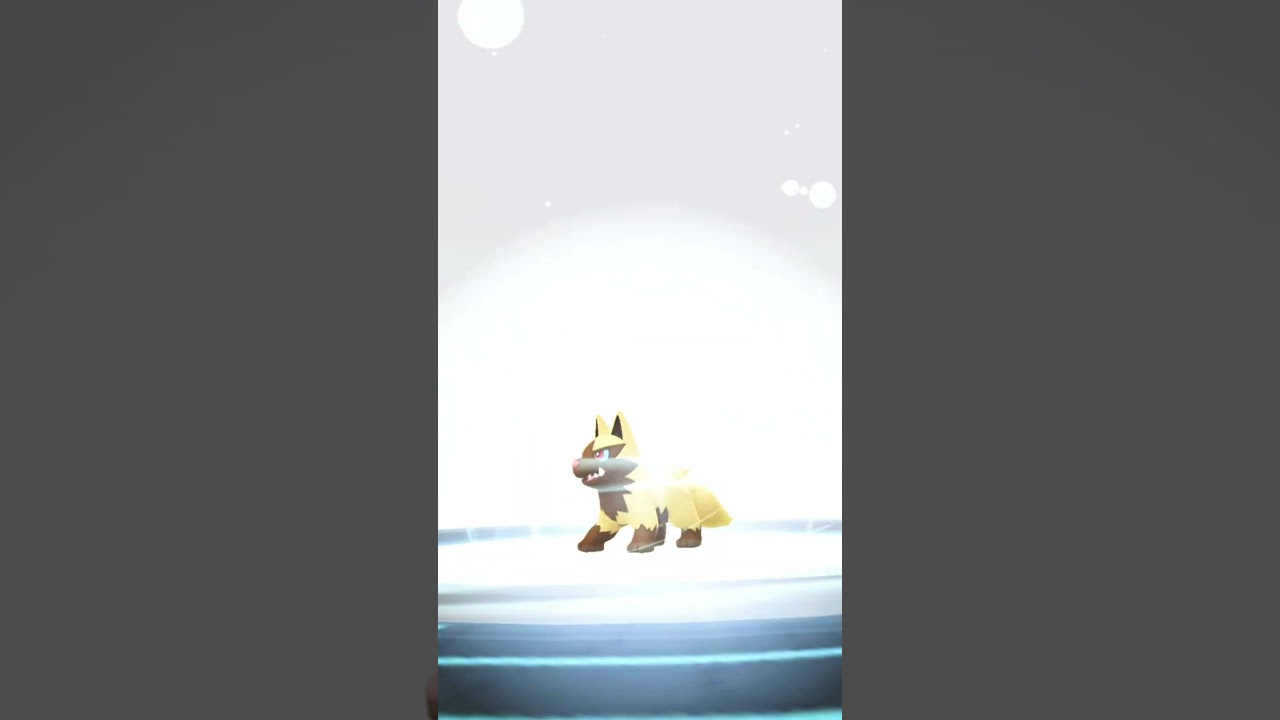 Finally I Got ✨Shiny Mightyena in #pokemongo
