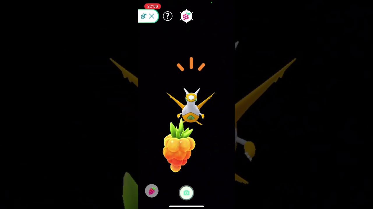暴投した金ズリを目で追う色違いラティアス！可愛くてごめん！！！ポケモンGO