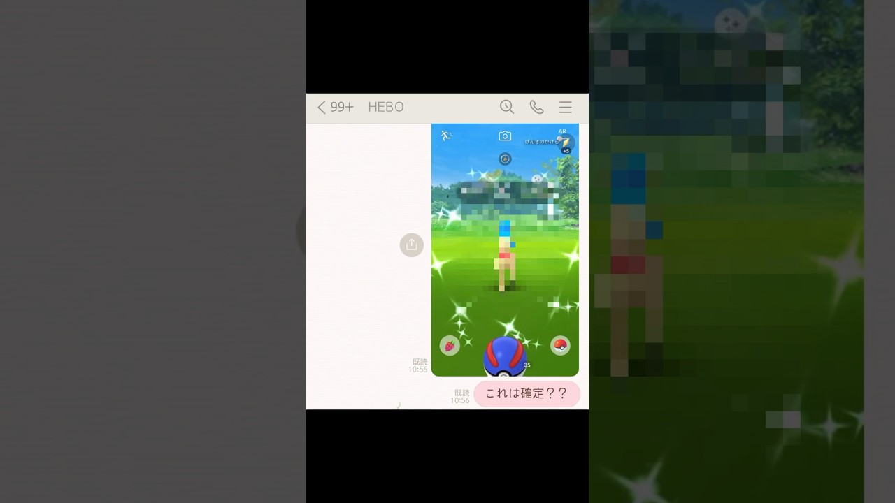 【ポケモンGO】緊急！！首に何かを巻いたあのポニータがなんと…！！（HUKUHUKU）