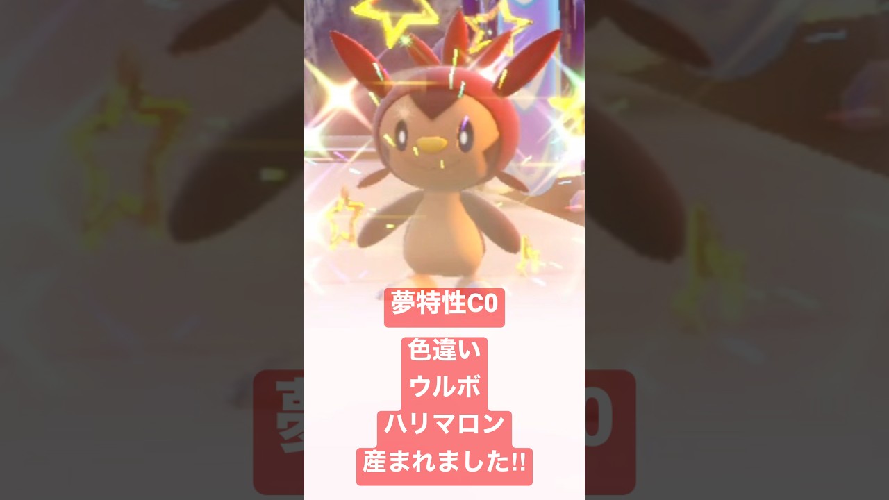 ポケモンsv 色違いハリマロン配布します‼︎