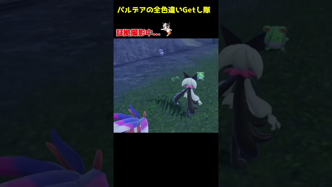 マリル色違い分かりやすくて好きイロチゲット証拠動画