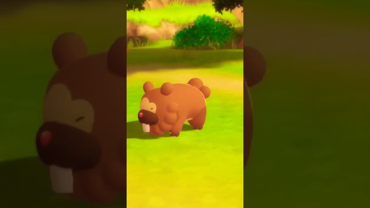 ビッパ地獄からの脱出💕【ポケモン無双】