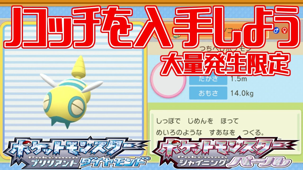 【ポケモンダイパリメイク】ノコッチを入手しよう 大量発生限定 208番道路【ポケットモンスター ブリリアントダイヤモンド・シャイニングパール】Pocket Monsters