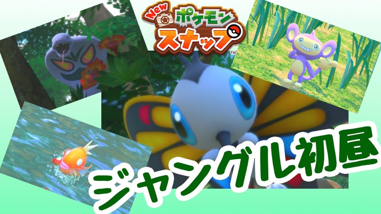 昼のジャングルへ！すごくかわいいアゲハント撮れた。【NEWポケモンスナップ】＃６