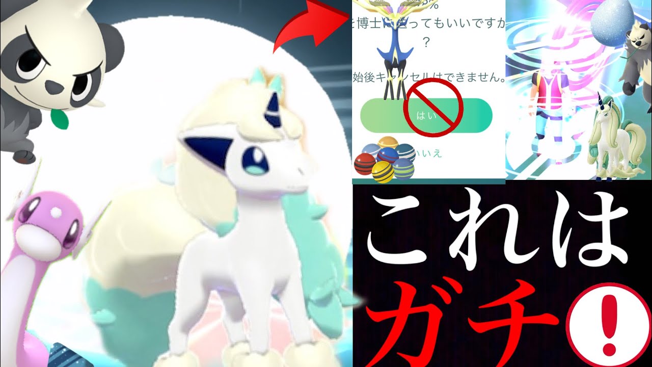 【ポケモンGO】明日から超重要！？〇〇ボーナスや絶対に狙っておくべきあの色違いも・・！ヤンチャムはストックするべき？【色違いガラルポニータ・ゴロンダ】