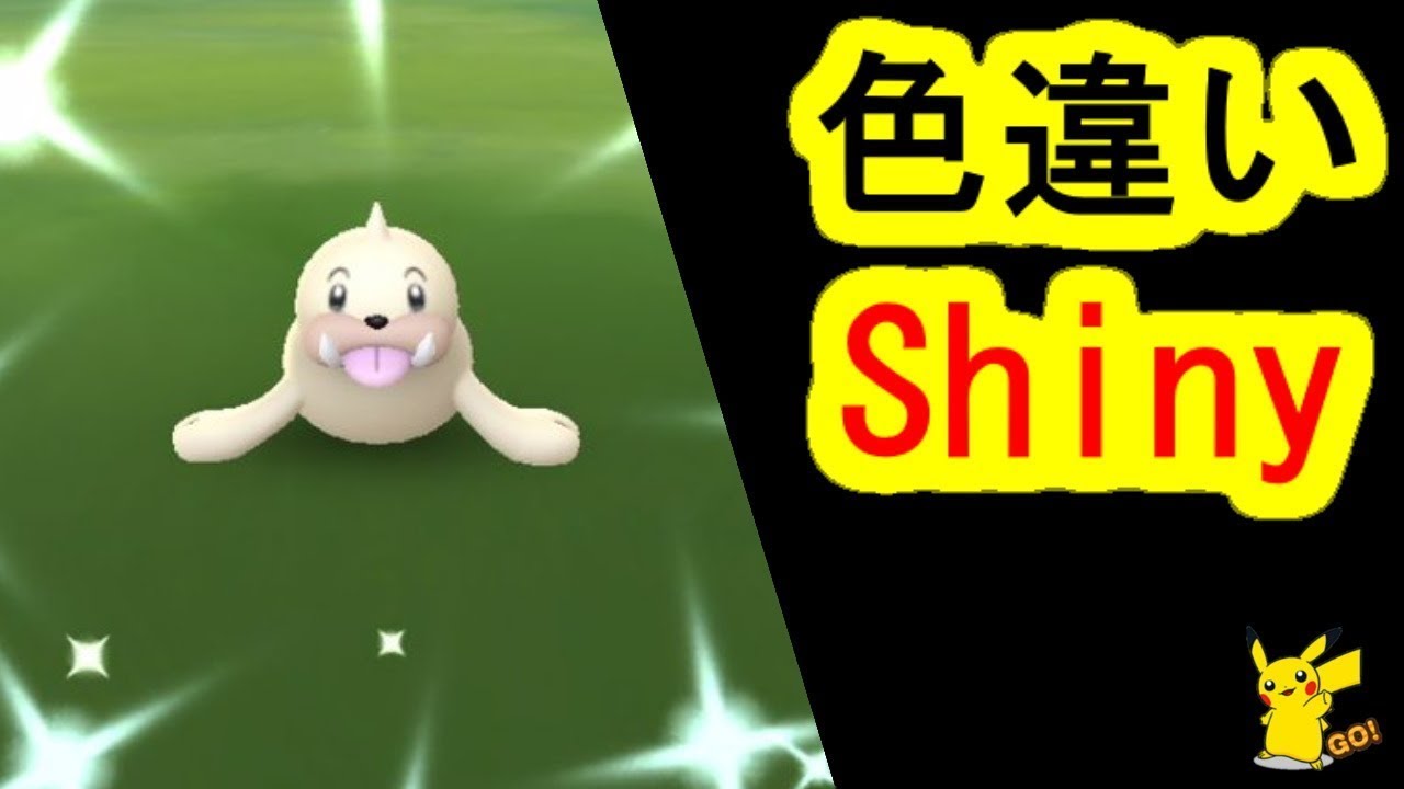 野生の色違いパウワウ(Seel , Shiny Pokemon)