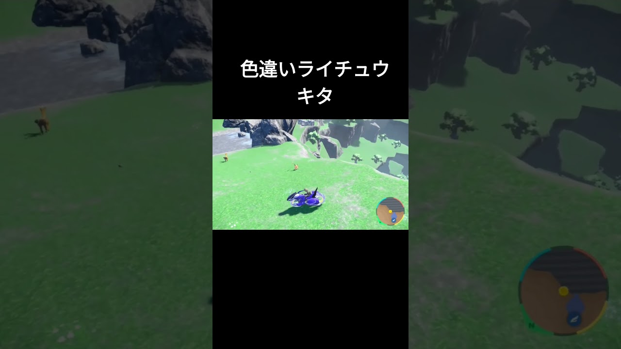 【ポケモンＳＶ】色違いライチュウ自然遭遇【エリアゼロ】