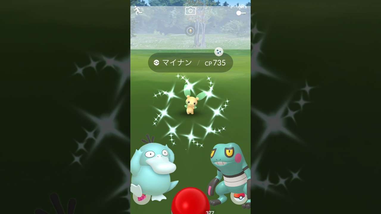今日の色違い！#71 マイナン色違い プラスルもほしー #ポケモンgo #色違い #pokemon