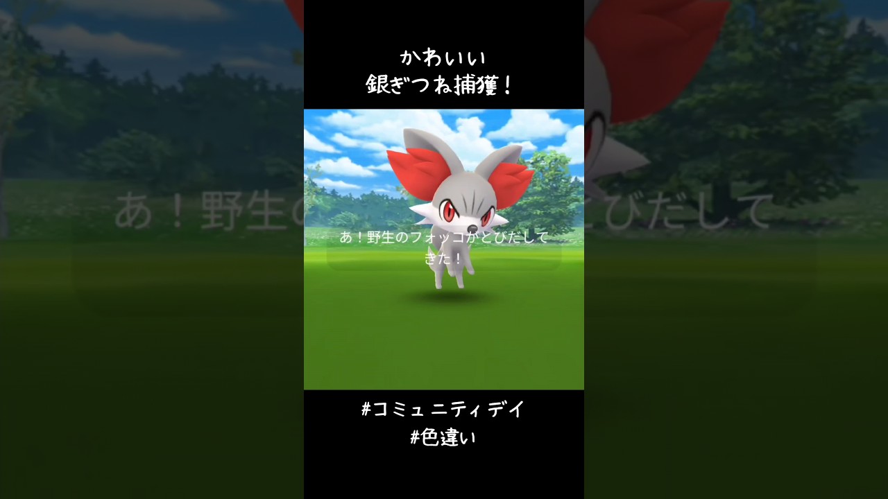 銀ぎつね捕獲✨✨✨めっちゃかわいい！！#ポケモンGO #コミュニティデイ #フォッコ #色違い