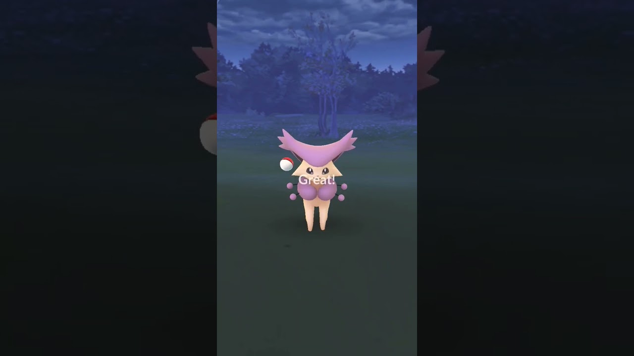 Caught a delcatty in #pokemongo #pokemon #pokemonscarletandviolet #pokémonunite #pokémon #poketuber