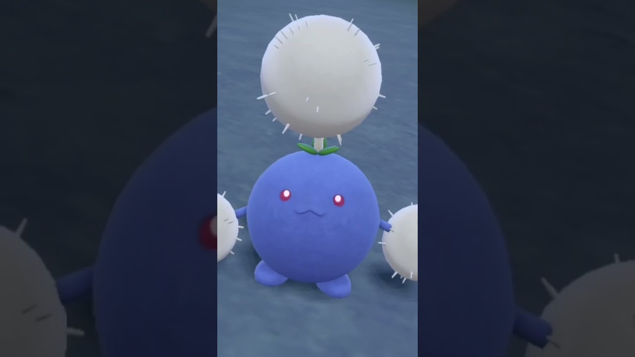 【ポケモンSV】自己満です！ワタッコの観察。顔がかわいい#shorts #ポケモン #ワタッコ