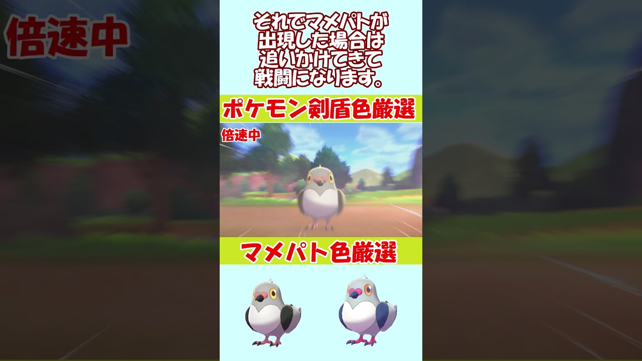 【ポケモン剣盾】色違いマメパトを捕まえる【野生色厳選(うららか草原)】 #Shorts