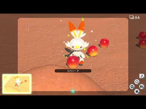 【Newポケモンスナップ】ヒバニー星3ダイヤ撮影方法