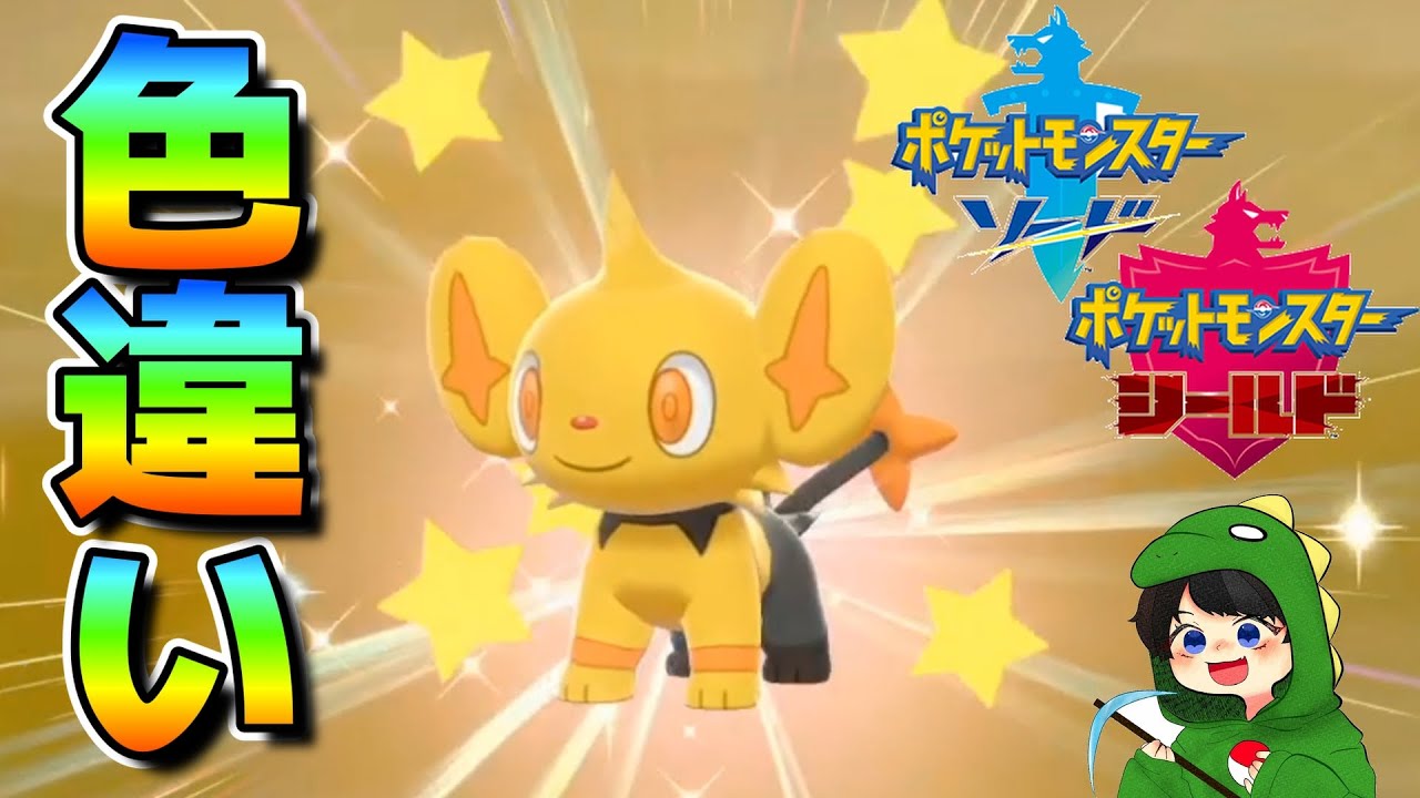 生放送中に色違いコリンク誕生！【ポケモン剣盾】🦕