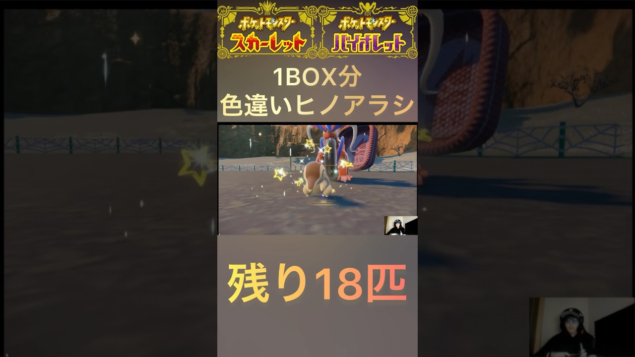 【ポケモンSV】色違いヒノアラシ1BOX分チャレンジ12匹目✨ #ポケモンsv #shorts