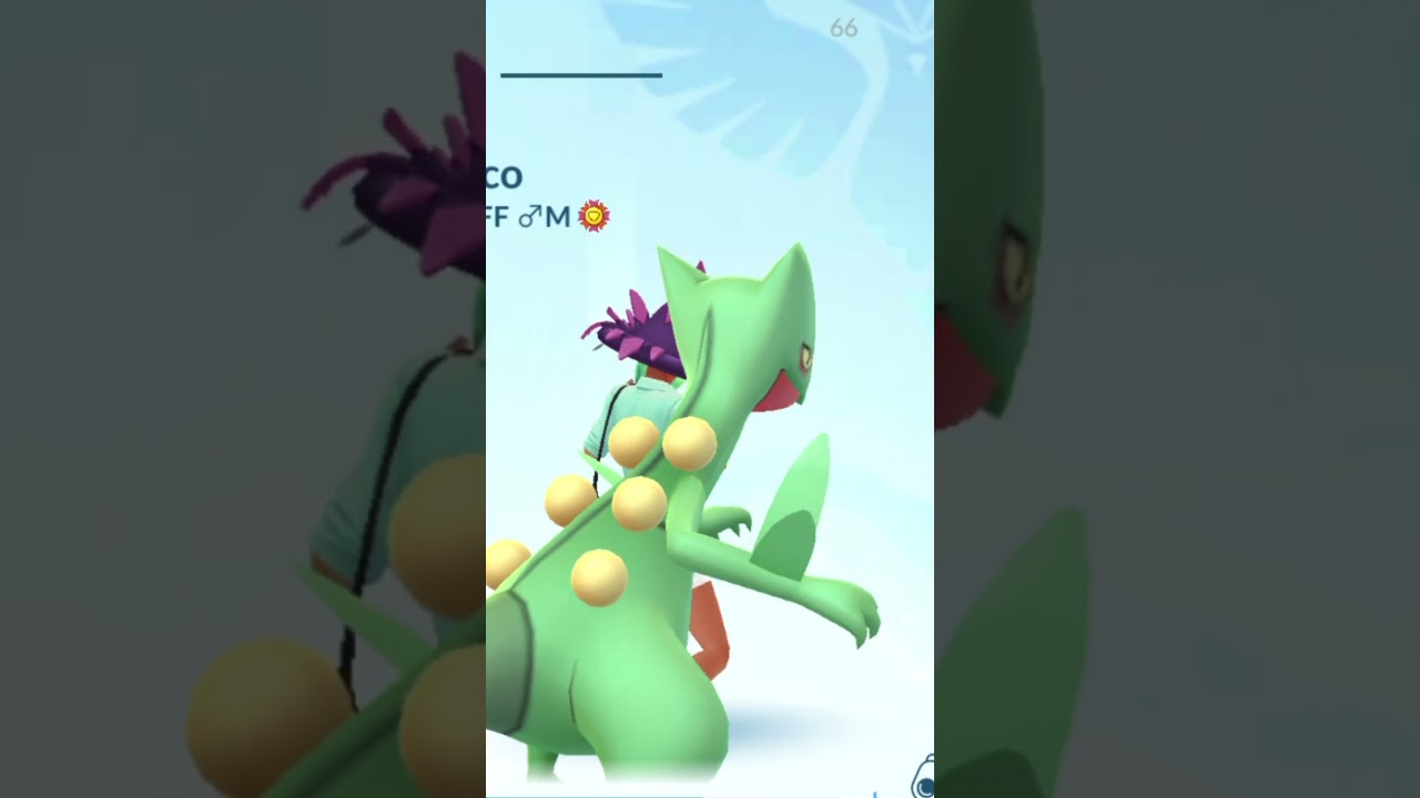 ジュカイン｜Sceptile｜最高の相棒｜個体値100%【ポケモンGO】