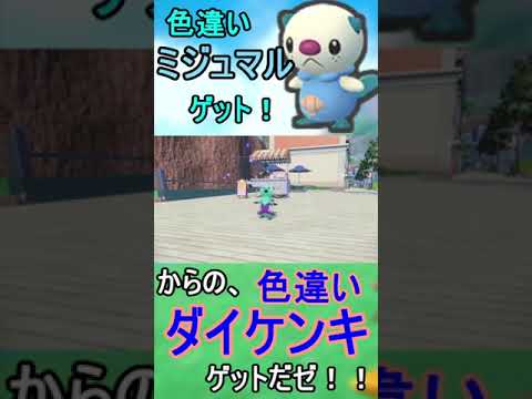 割と早め！？ミジュマル色違いゲット！　からの、色違いダイケンキゲットだゼ！！　＃shorts