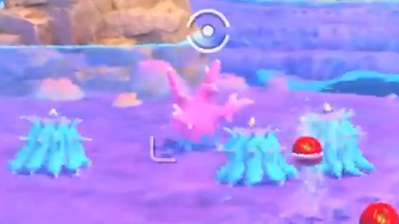 サニーゴとじゃれつくヒドイデ【New ポケモンスナップ】