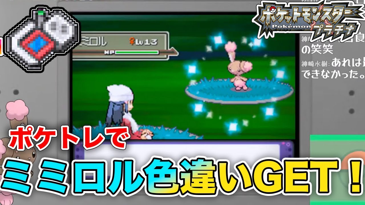【お久しぶりです。】ポケトレでえちえちバニーのミミロル色違いGET！-プラチナ/ミミロル色違い/ポケトレ /poke rader/Shiny Buneary-