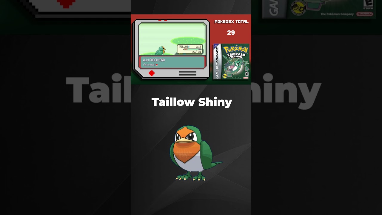 O DIA QUE CAPTUREI UM TAILLOW SHINY