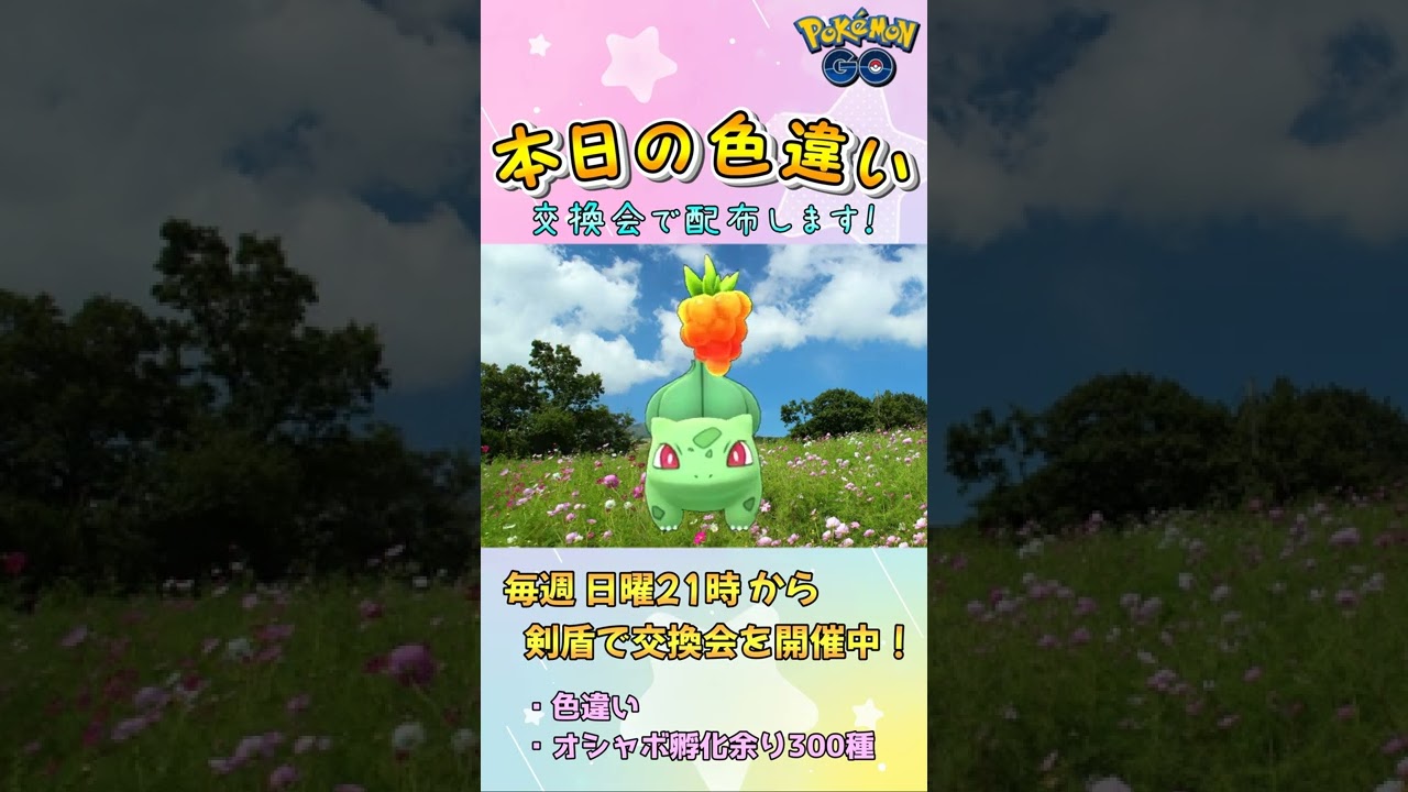 【本日の色違い】フシギダネ 2022/1/22【ポケモンGO】