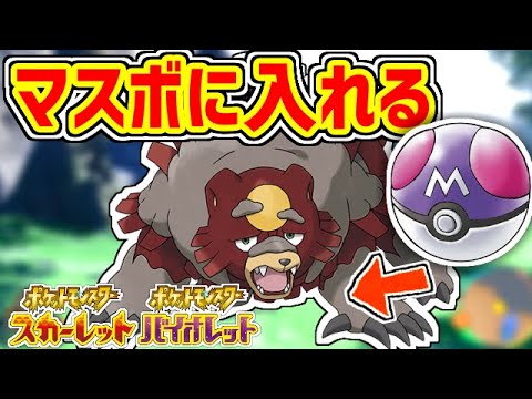 【ポケモンSV】最強のポケモン色違いガチグマをマスボでゲットしたい！！！！！！！！