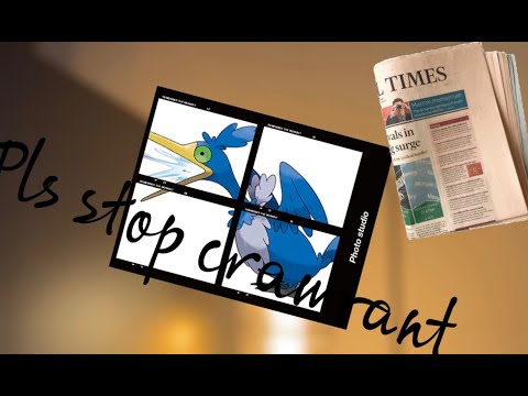 参加歓迎ポケモンユナイト　ウッウの民