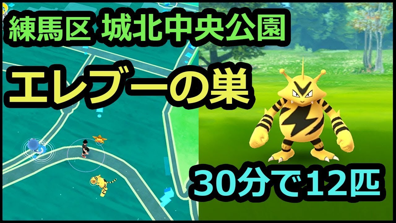 【ポケモンGO】エレブーの巣に行ってきました。東京都練馬区城北中央公園・2017年11月16日（木）