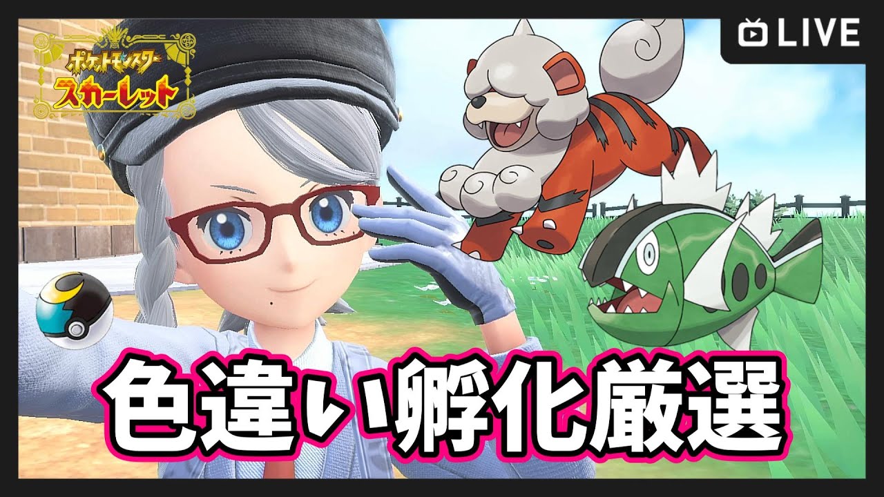 【ポケモンSV】色違いヒスイガーディ＆バスラオ 孵化作業枠【ポケットモンスター スカーレット・バイオレット】