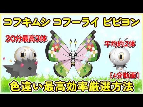 色違いコフキムシ＆コフーライ＆ビビヨン最高効率厳選４分動画30分最高3体 平均色違い数2.04体 #ポケモンsv #最高効率 #色違い #コフキムシ #コフーライ #ビビヨン #大量発生なし #あり
