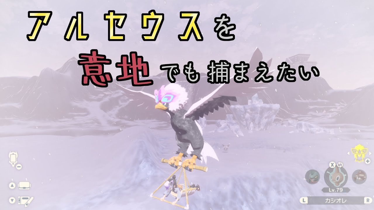 アルセウスを意地でも捕まえたい