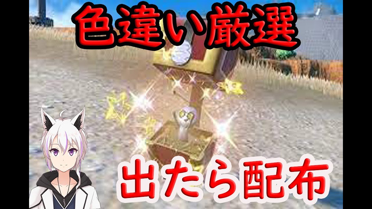 並走しよう！メタモンでコレクレー(サーフゴー)色厳選、出tたらレイド配布【ポケモンSV】♯８
